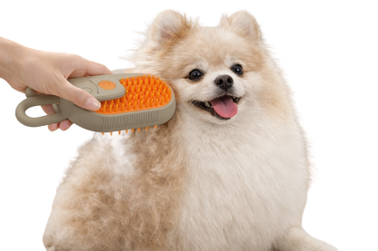 Cepillo Vaporizador 3 en 1